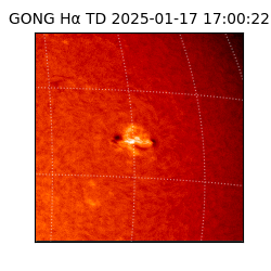 gong - 2025-01-17T17:00:22