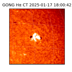 gong - 2025-01-17T18:00:42