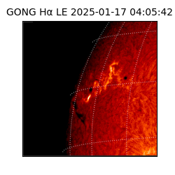 gong - 2025-01-17T04:05:42