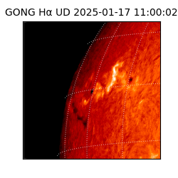 gong - 2025-01-17T11:00:02
