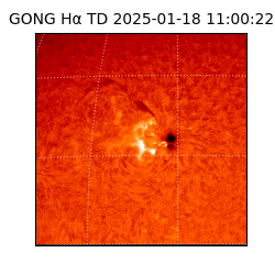 gong - 2025-01-18T11:00:22