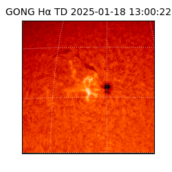 gong - 2025-01-18T13:00:22