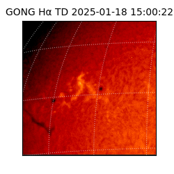 gong - 2025-01-18T15:00:22