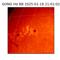 gong - 2025-01-18T21:01:02