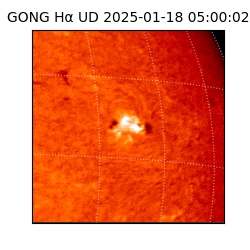 gong - 2025-01-18T05:00:02