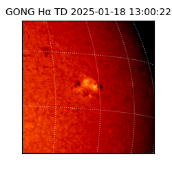 gong - 2025-01-18T13:00:22