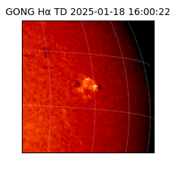 gong - 2025-01-18T16:00:22