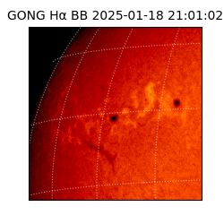 gong - 2025-01-18T21:01:02