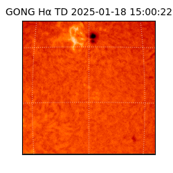 gong - 2025-01-18T15:00:22