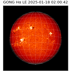 gong - 2025-01-18T02:00:42