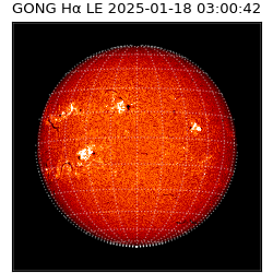 gong - 2025-01-18T03:00:42
