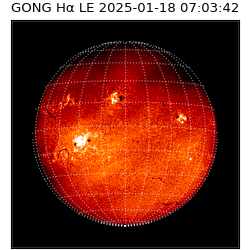 gong - 2025-01-18T07:03:42
