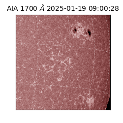 saia - 2025-01-19T09:00:28.718000
