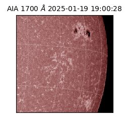 saia - 2025-01-19T19:00:28.717000