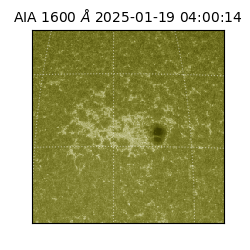 saia - 2025-01-19T04:00:14.126000