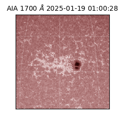 saia - 2025-01-19T01:00:28.721000