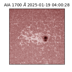 saia - 2025-01-19T04:00:28.717000