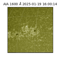 saia - 2025-01-19T16:00:14.126000