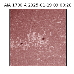 saia - 2025-01-19T09:00:28.718000