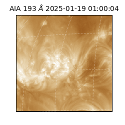 saia - 2025-01-19T01:00:04.843000