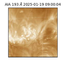 saia - 2025-01-19T09:00:04.843000