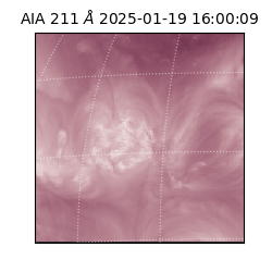 saia - 2025-01-19T16:00:09.639000