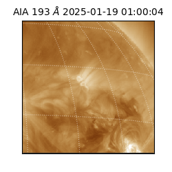 saia - 2025-01-19T01:00:04.843000
