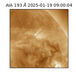 saia - 2025-01-19T09:00:04.843000