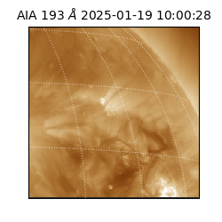 saia - 2025-01-19T10:00:28.842000