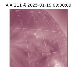 saia - 2025-01-19T09:00:09.631000