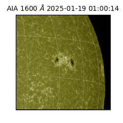 saia - 2025-01-19T01:00:14.126000