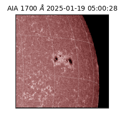 saia - 2025-01-19T05:00:28.713000
