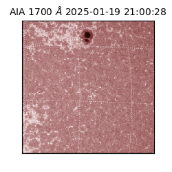 saia - 2025-01-19T21:00:28.717000