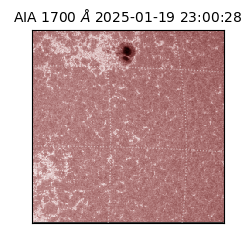 saia - 2025-01-19T23:00:28.717000