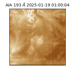 saia - 2025-01-19T01:00:04.843000