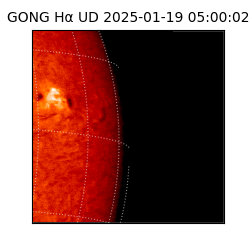 gong - 2025-01-19T05:00:02