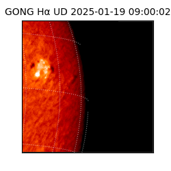 gong - 2025-01-19T09:00:02