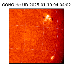 gong - 2025-01-19T04:04:02