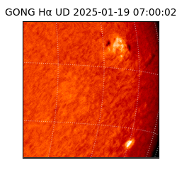 gong - 2025-01-19T07:00:02