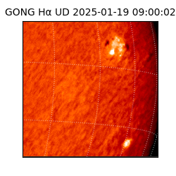 gong - 2025-01-19T09:00:02