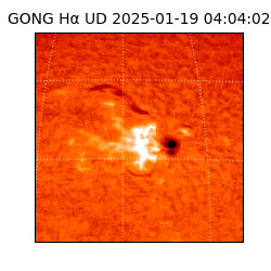 gong - 2025-01-19T04:04:02