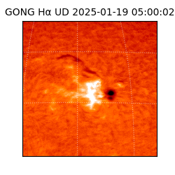 gong - 2025-01-19T05:00:02