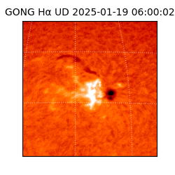 gong - 2025-01-19T06:00:02