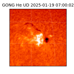 gong - 2025-01-19T07:00:02