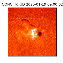 gong - 2025-01-19T09:00:02