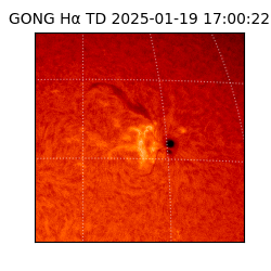 gong - 2025-01-19T17:00:22