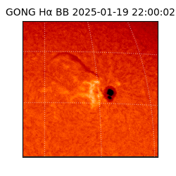 gong - 2025-01-19T22:00:02