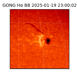 gong - 2025-01-19T23:00:02