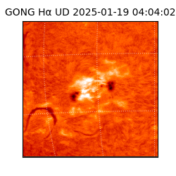 gong - 2025-01-19T04:04:02