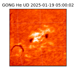 gong - 2025-01-19T05:00:02